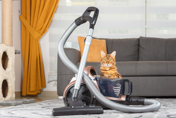 A Bengal cat hides behind a vacuum cleaner in the living room.