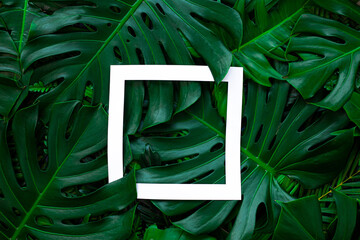 tropical green leaves and palms with white paper frame, nature flat lay concept.
