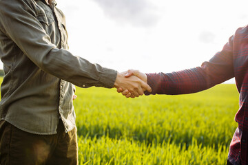 Two farmers shake hands. Good deal. Fertile land and harvest. Field with green wheat.