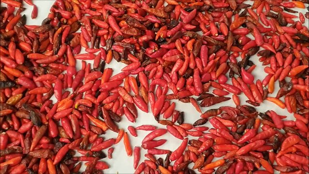 Pimenta