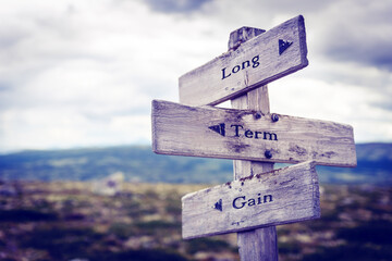 long term gain text quote written in wooden signpost outdoors in nature. Moody theme feeling.