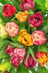 Colorful tulip flowers red pink yellow Floral background