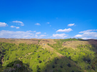 Fototapeta na wymiar green grass mountain with bright blue sky at morning