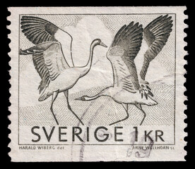 Crane birds mating dance vintage illustration on postmarked postage stamp printed in Sweden circa...
