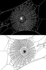 Halloween web. Vector isolated hand drawn linear drawing. Background for halloween party invitation.
