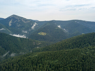 Obraz premium Green mountains of Ukrainian Carpathians in summer. Aerial drone view.