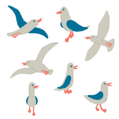 Cartoon atlantic seabird. 7gulls in a vector flat style.