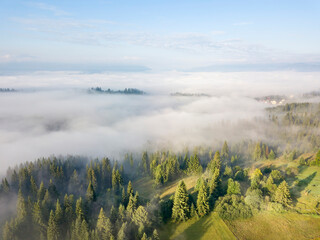 Green mountains of the Ukrainian Carpathians in the morning mist. Aerial drone view.