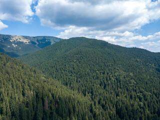 Green mountains of Ukrainian Carpathians in summer. Sunny day, rare clouds. Aerial drone view.