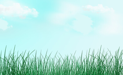 Fototapeta na wymiar fresh spring green grass on a light background. Spring fresh background. Summer meadow.