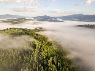 Fog envelops the mountain forest. The rays of the rising sun break through the fog. Aerial drone view.