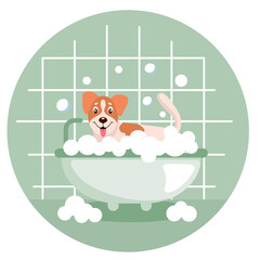 A dog (jack russell terrier) takes a bubble bath. Grooming