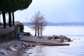 Lakeshore with trees at City of Montreux with Lake Geneva on a cloudy spring day. Photo taken April 4th, 2022, Montreux, Switzerland.