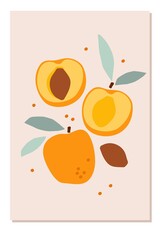Apricot card. Abstract natural poster in pastel colors. Paper clipping elements. Summer tropical background with apricot. Hand-drawn apricot For poster, banner, cover, social networks, printing.