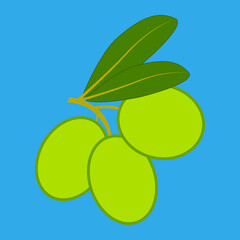 Olive branch. Agricultural products. Color illustration. Vector.  - obrazy, fototapety, plakaty