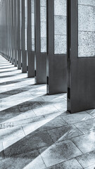 row of pillars casting shadows in black and white