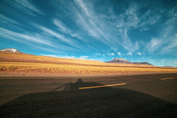 Fototapeta na wymiar Atacama Desert. Yellow undergrowth.