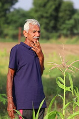 portrait Photo of An Indian Aged man senior farmer standing in the field thinking with his hands on his face
