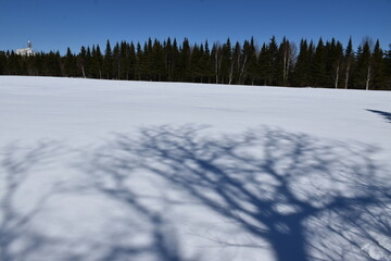 A field in spring, Sainte-Apolline, Québec, Canada