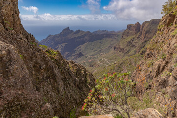 Blick über Masca