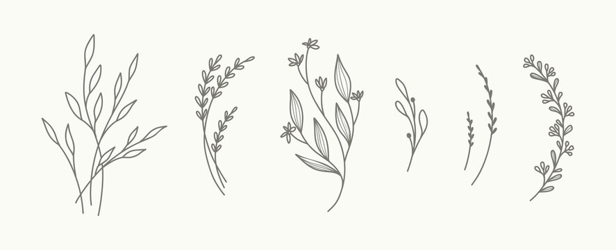 Minimal hand drawn floral botanical art. Trendy elements of wild and garden plants, branches, leaves, flowers, herbs. Vector illustration for logo or tattoo, invitation save the date card