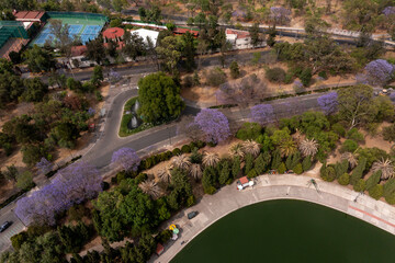 Lago mayor del Bosque de Chapultepec. CDMX, México