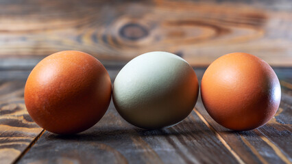 Llight blue and brown eggs. Easter Festival concepts. Araucana egg and the egg of an ordinary chicken.