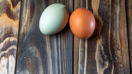Llight blue and brown eggs. Easter Festival concepts. Araucana egg and the egg of an ordinary chicken.