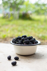 Fototapeta na wymiar Fresh black mulberries in white bowl with several berries near.