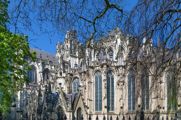 Fototapeta premium St. John's Cathedral, s-Hertogenbosch, Netherlands