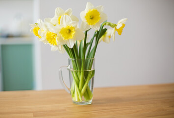  Kithen interior. Spring yellow flowers in a vase on the kitchen  table. Bouquet of daffodils in a transparent glass. The atmosphere of comfort and coziness. Selective focus.