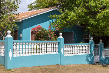 Turquoise house with a front garden, trees, and a shrub with pink blossoms in a rural neighborhood...