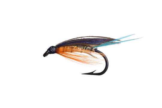 Fly Fishing Fly