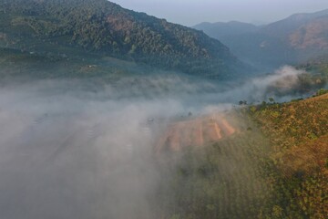 the fog sea cover valley with an aerial view and green hill ranger at dawn