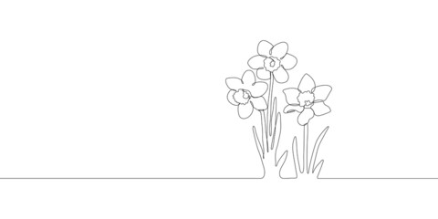 Narcissus flowers silhouette. One single line. Vector illustration. Doodle floral border. Black and white. Wedding design
