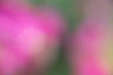 Photography of a gradient color with bokeh effect. Abstract.