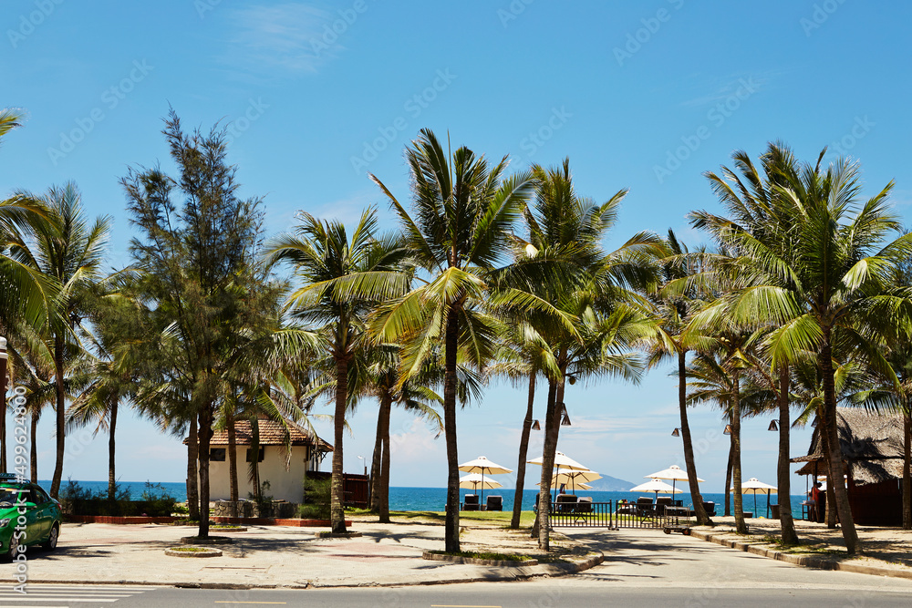 Wall mural palm trees on the beach