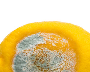 Mold on lemon fruit on white background