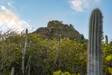 Sunrise over Christoffel National Park during the hike up to the top of Christoffel mountain on the...