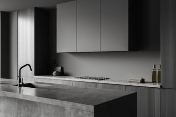 Corner view on dark kitchen room interior with cupboard