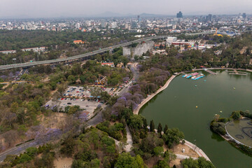Fototapeta na wymiar Lago mayor del Bosque de Chapultepec. CDMX, México