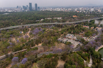 Panorámica de Chapultepec. CDMX, México