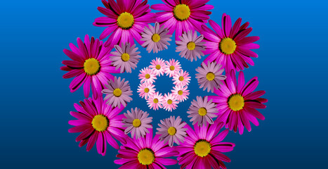 Fototapeta na wymiar Mirror flower kaleidoscope. Purple, pink and white daisies. Fantastic volumetric patterns, shapes and colors. Abstract background for your project.