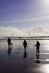 Winter Beach Family Walk