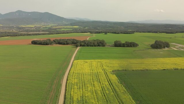 Aerial images in La Garrotxa Girona Besalú Banyoles, rapeseed field crops I fly with a drone gently sliding to the left