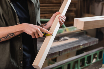 partial view of furniture designer measuring plant with tape measure.