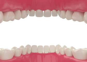 Human oral cavity with healthy white teeth inside an open mouth inside view 3d illustration