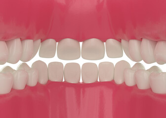 inside view inside a human mouth with aligned healthy white teeth 3d illustration