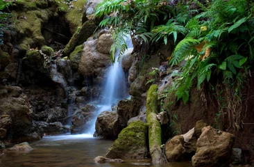 Fotobehang Mountain river background with small waterfalls in tropical forest. © apimook