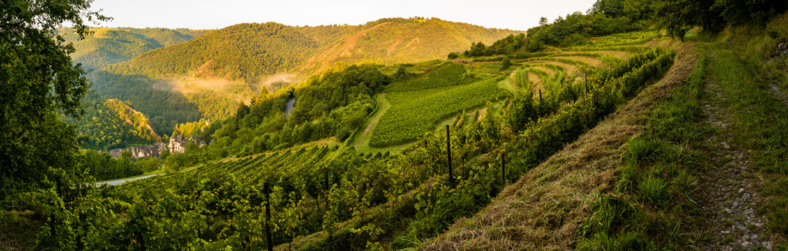 Le village de Conques, son vignoble, son ch&acirc;teau, la chapelle Sainte-Foy, la chapelle Saint-Roch, Aveyron, Occitanie, France